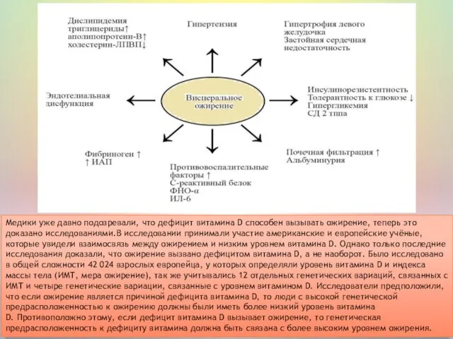 Медики уже давно подозревали, что дефицит витамина D способен вызывать ожирение, теперь