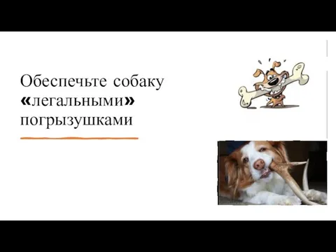 Обеспечьте собаку «легальными» погрызушками