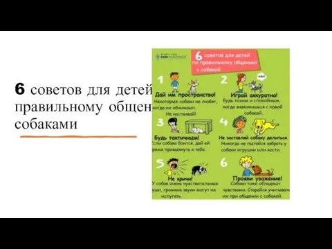 6 советов для детей по правильному общению с собаками