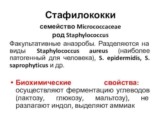 Стафилококки семейство Micrococcaceae род Staphylococcus Факультативные анаэробы. Разделяются на виды Staphylococcus aureus