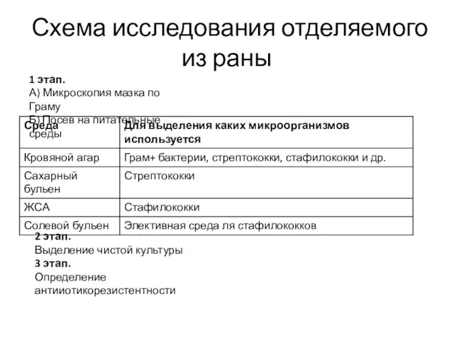 Схема исследования отделяемого из раны 1 этап. А) Микроскопия мазка по Граму