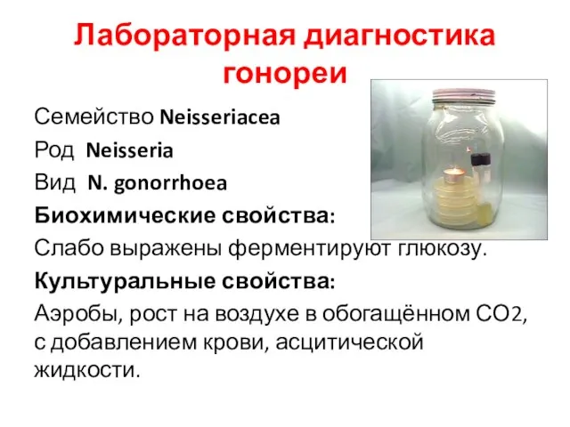 Лабораторная диагностика гонореи Семейство Neisseriacea Род Neisseria Вид N. gonorrhoea Биохимические свойства: