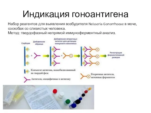 Набор реагентов для выявления возбудителя Neisseria Gonorrhoeae в моче, соскобах со слизистых