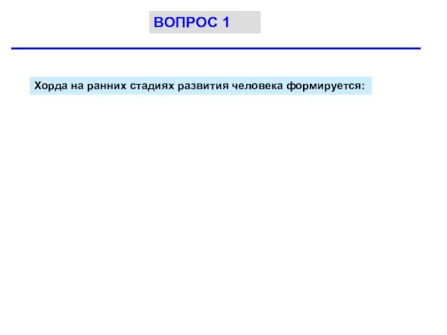 Хорда на ранних стадиях развития человека формируется: ВОПРОС 1