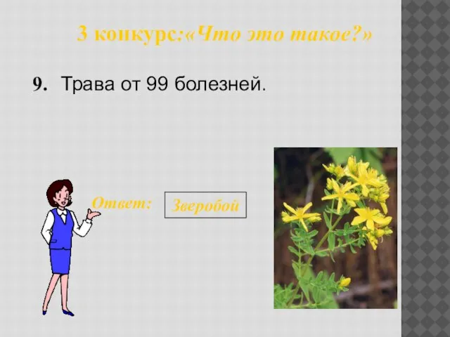 3 конкурс:«Что это такое?» 9. Ответ: Зверобой Трава от 99 болезней.