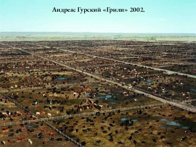 Андреас Гурский «Грили» 2002.