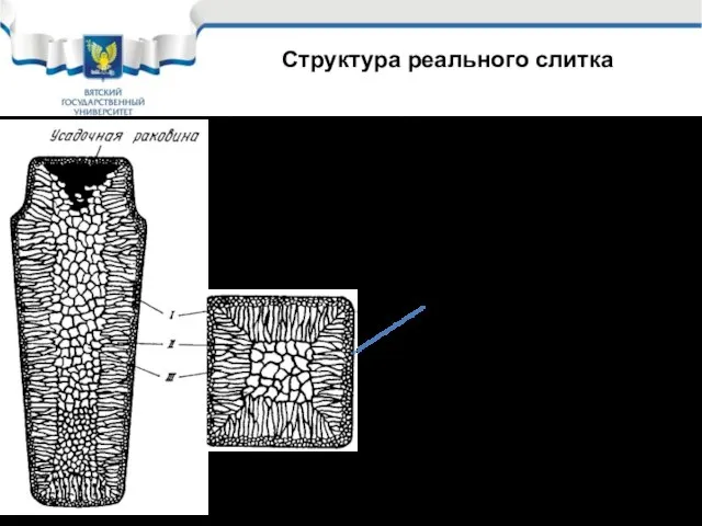 Зёрна (дендриты), образующиеся в стальном слитке, могут иметь различную форму, размеры и