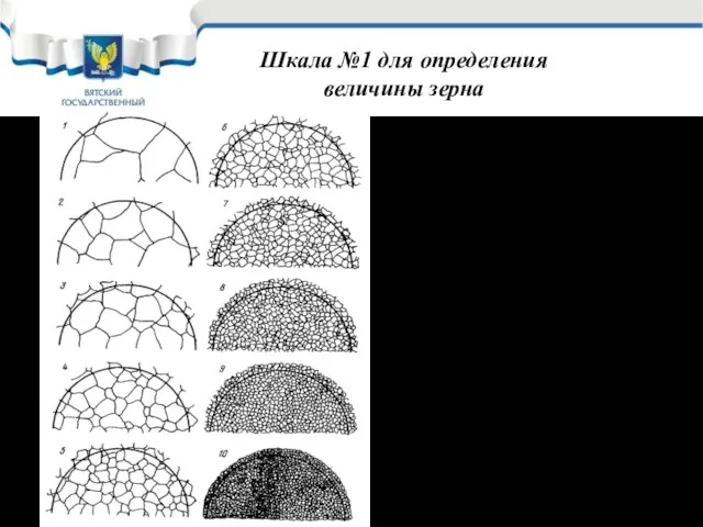 Шкала №1 для определения величины зерна Сравнивая картину видимую в микроскопе при