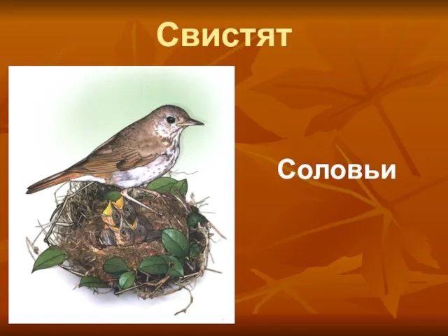 Свистят Соловьи