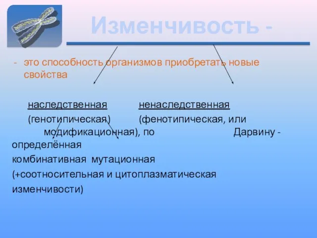 Изменчивость - это способность организмов приобретать новые свойства наследственная ненаследственная (генотипическая) (фенотипическая,