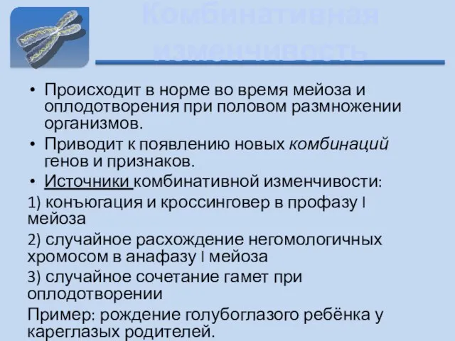 Комбинативная изменчивость Происходит в норме во время мейоза и оплодотворения при половом