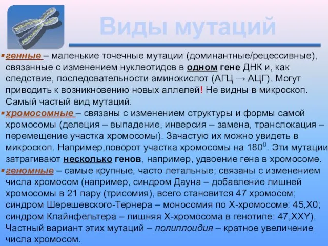 Виды мутаций генные – маленькие точечные мутации, связанные с изменением нуклеотидов в