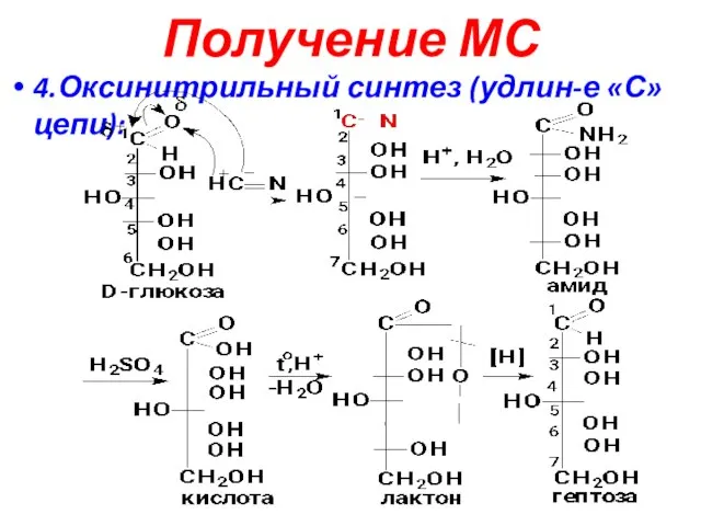 Получение МС 4.Оксинитрильный синтез (удлин-е «С» цепи):