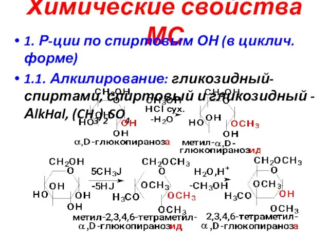 Химические свойства МС 1. Р-ции по спиртовым ОН (в циклич.форме) 1.1. Алкилирование: