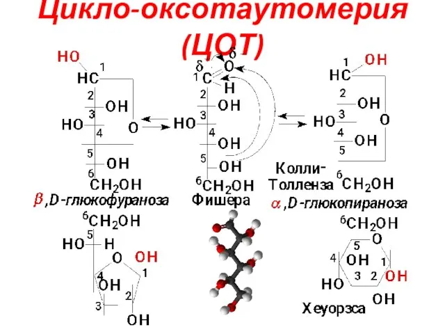 Цикло-оксотаутомерия(ЦОТ)