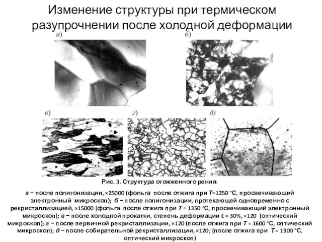 Рис. 3. Структура отожженного рения: а − после полигонизации, ×25000 (фольга после