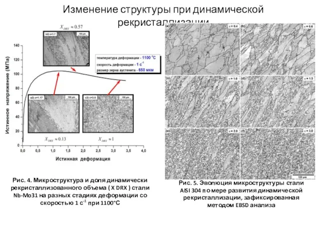 Изменение структуры при динамической рекристаллизации Рис. 4. Микроструктура и доля динамически рекристаллизованного