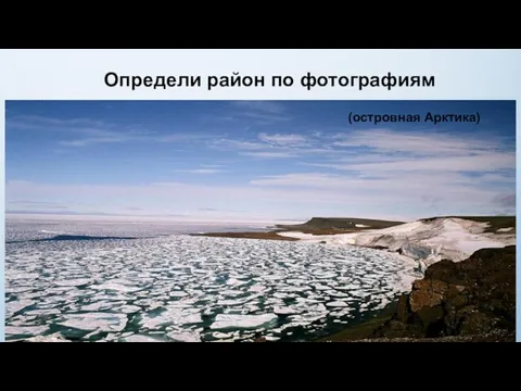 Определи район по фотографиям (островная Арктика)