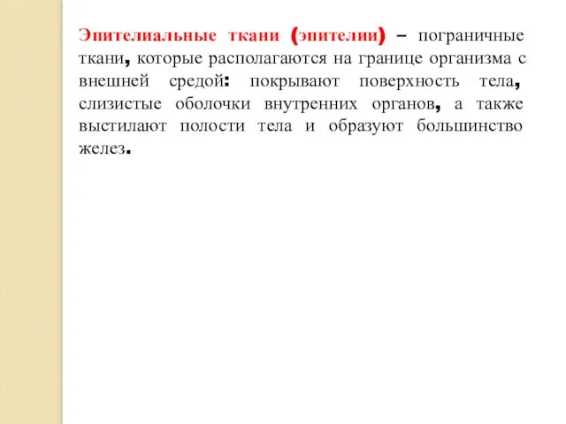 Эпителиальные ткани (эпителии) – пограничные ткани, которые располагаются на границе организма с