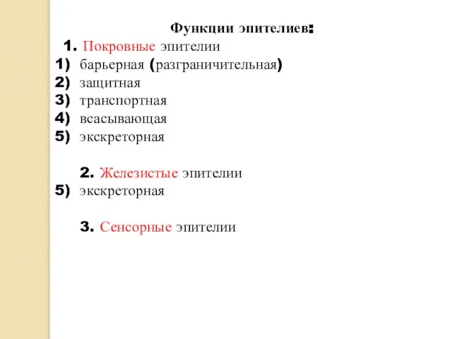 Функции эпителиев: 1. Покровные эпителии барьерная (разграничительная) защитная транспортная всасывающая экскреторная 2.