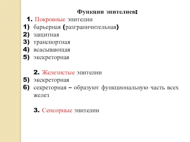 Функции эпителиев: 1. Покровные эпителии барьерная (разграничительная) защитная транспортная всасывающая экскреторная 2.