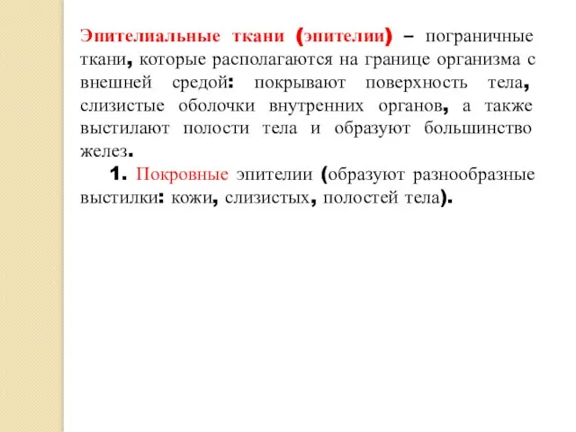 Эпителиальные ткани (эпителии) – пограничные ткани, которые располагаются на границе организма с