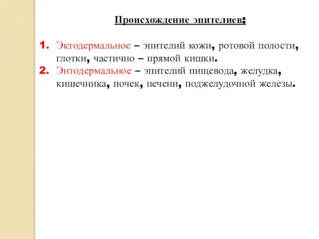 Происхождение эпителиев: Эктодермальное – эпителий кожи, ротовой полости, глотки, частично – прямой