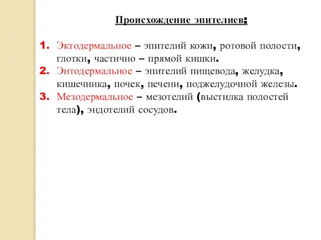 Происхождение эпителиев: Эктодермальное – эпителий кожи, ротовой полости, глотки, частично – прямой