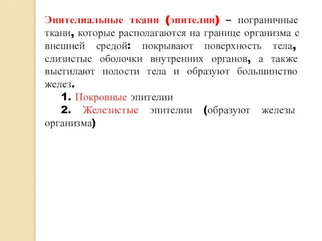 Эпителиальные ткани (эпителии) – пограничные ткани, которые располагаются на границе организма с