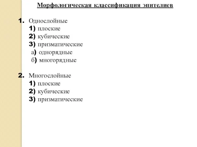 Морфологическая классификация эпителиев Однослойные 1) плоские 2) кубические 3) призматические а) однорядные