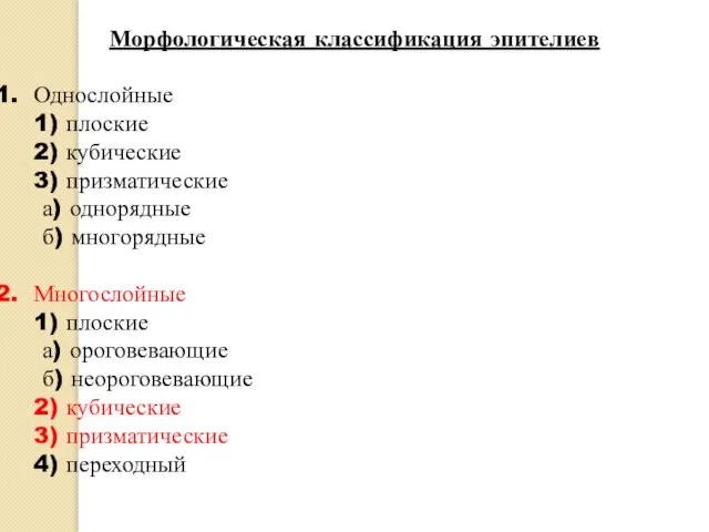 Морфологическая классификация эпителиев Однослойные 1) плоские 2) кубические 3) призматические а) однорядные