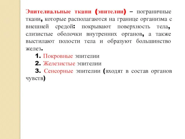 Эпителиальные ткани (эпителии) – пограничные ткани, которые располагаются на границе организма с