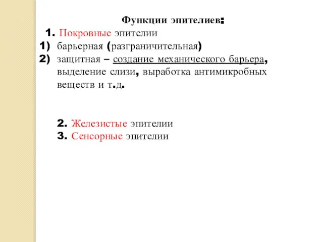 Функции эпителиев: 1. Покровные эпителии барьерная (разграничительная) защитная – создание механического барьера,