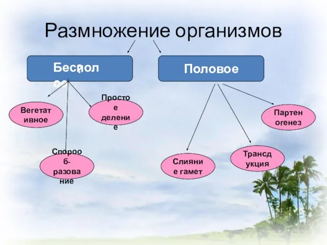 Размножение организмов ? Половое Бесполое Партеногенез Спорооб- разование Простое деление Вегетативное Трансдукция Слияние гамет