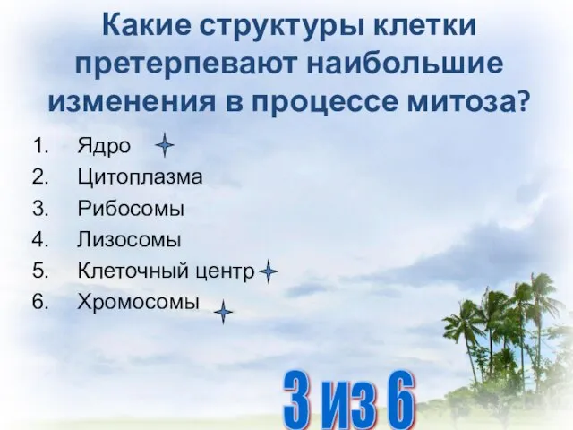 Какие структуры клетки претерпевают наибольшие изменения в процессе митоза? Ядро Цитоплазма Рибосомы