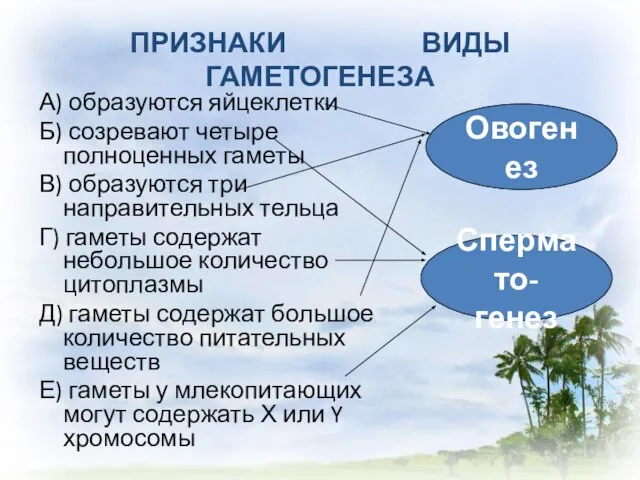 ПРИЗНАКИ ВИДЫ ГАМЕТОГЕНЕЗА А) образуются яйцеклетки Б) созревают четыре полноценных гаметы В)