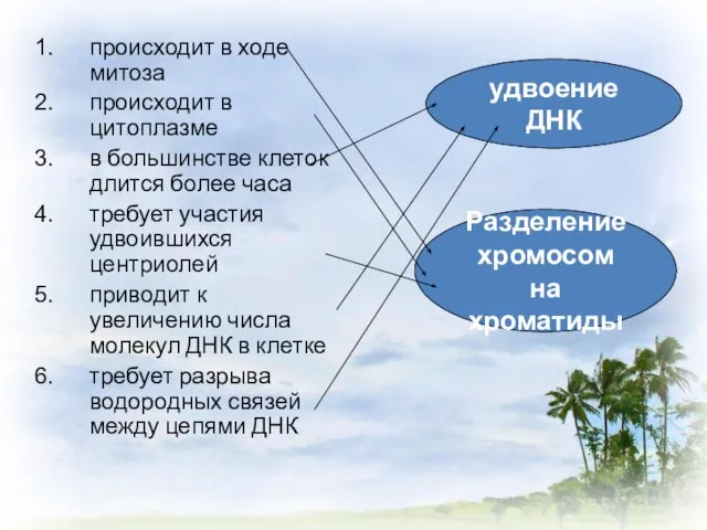 происходит в ходе митоза происходит в цитоплазме в большинстве клеток длится более