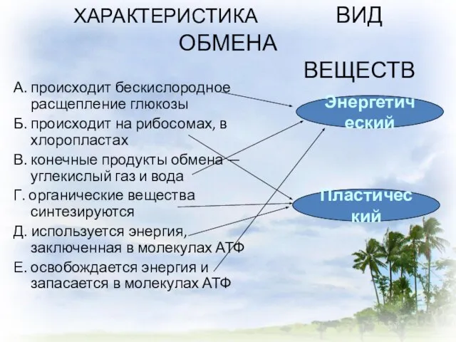 ХАРАКТЕРИСТИКА ВИД ОБМЕНА ВЕЩЕСТВ А. происходит бескислородное расщепление глюкозы Б. происходит на