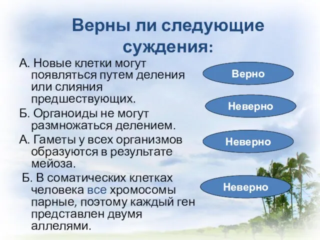 А. Новые клетки могут появляться путем деления или слияния предшествующих. Б. Органоиды