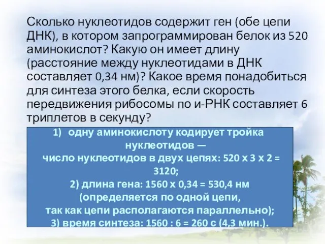 Сколько нуклеотидов содержит ген (обе цепи ДНК), в котором запрограммирован белок из