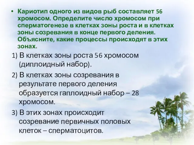 Кариотип одного из видов рыб составляет 56 хромосом. Определите число хромосом при