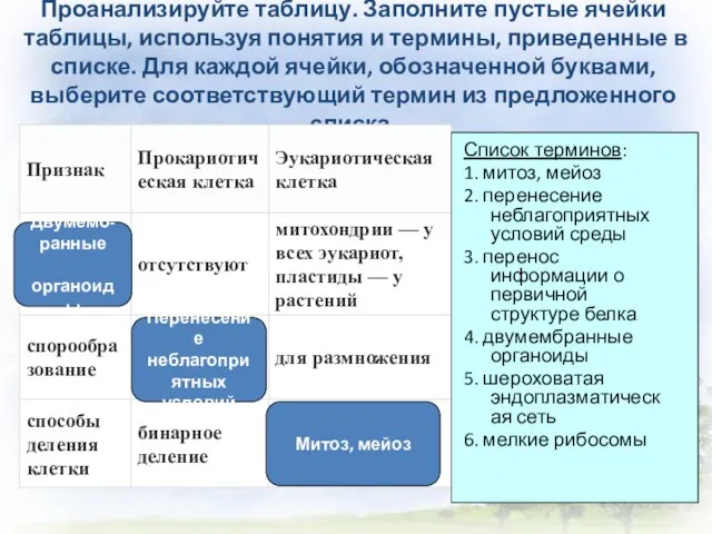 Проанализируйте таблицу. Заполните пустые ячейки таблицы, используя понятия и термины, приведенные в