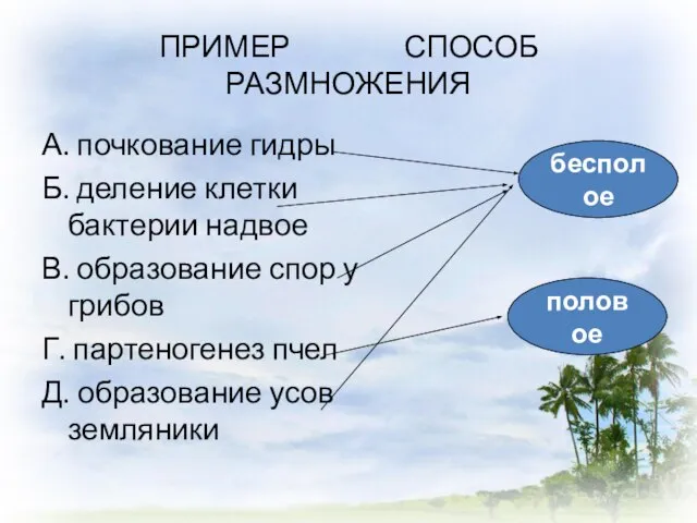 ПРИМЕР СПОСОБ РАЗМНОЖЕНИЯ А. почкование гидры Б. деление клетки бактерии надвое В.