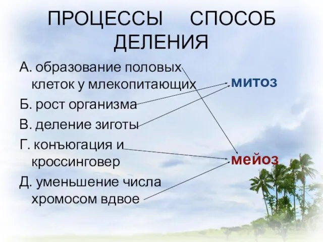 ПРОЦЕССЫ СПОСОБ ДЕЛЕНИЯ А. образование половых клеток у млекопитающих Б. рост организма