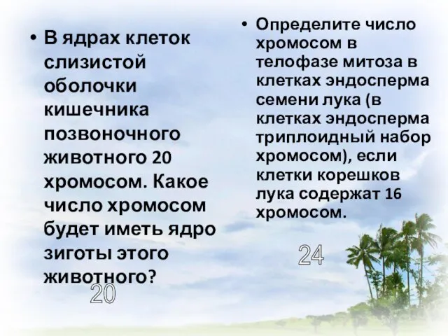 В ядрах клеток слизистой оболочки кишечника позвоночного животного 20 хромосом. Какое число