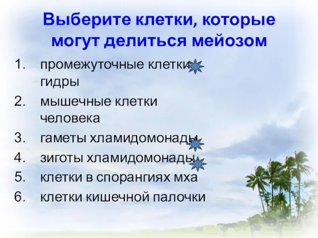 Выберите клетки, которые могут делиться мейозом промежуточные клетки гидры мышечные клетки человека