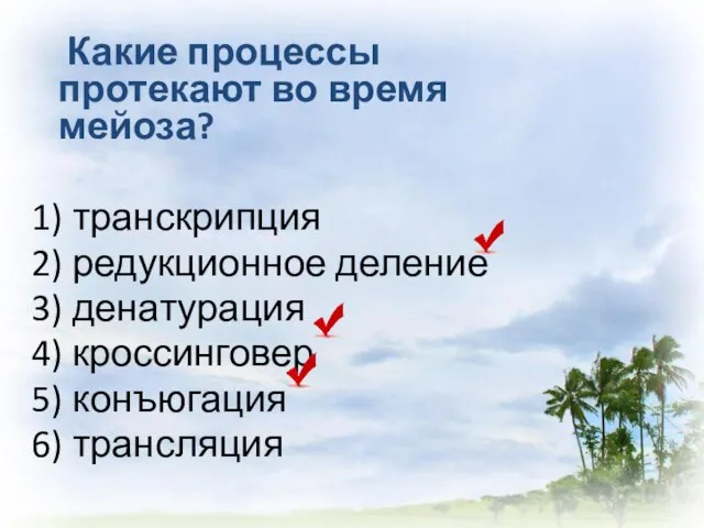 Какие процессы протекают во время мейоза? 1) транскрипция 2) редукционное деление 3)