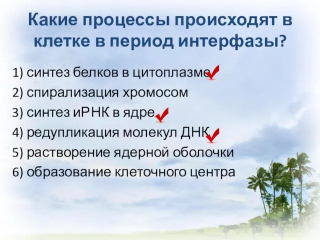 Какие процессы происходят в клетке в период интерфазы? 1) синтез белков в