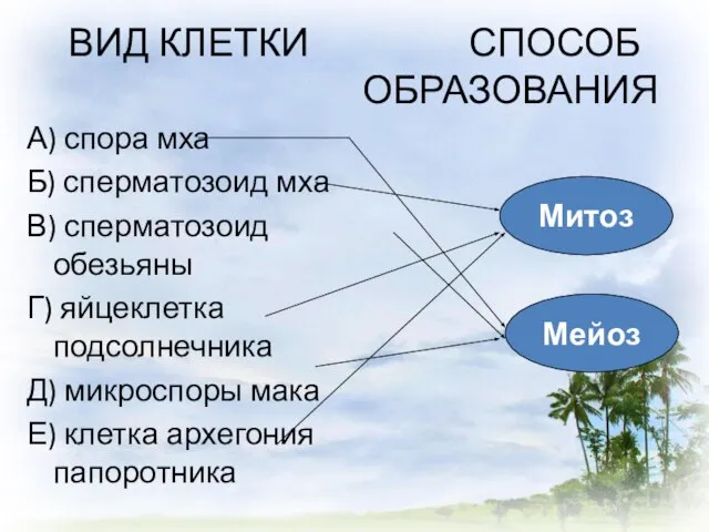 ВИД КЛЕТКИ СПОСОБ ОБРАЗОВАНИЯ А) спора мха Б) сперматозоид мха В) сперматозоид