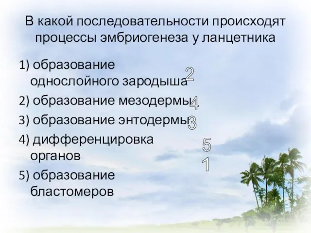 В какой последовательности происходят процессы эмбриогенеза у ланцетника 1) образование однослойного зародыша